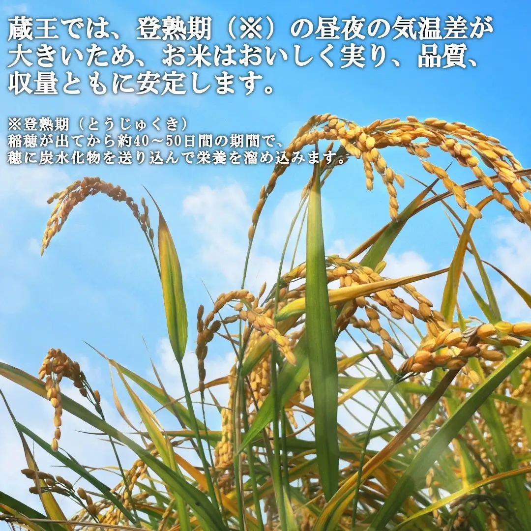 【令和7年産米】蔵王産　つや姫　玄米5kg ／ 米 ごはん ご飯 玄米 5kg 2025年産 令和7年産 新米 東北 宮城県産 蔵王産　【04301-0387】