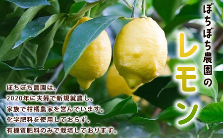 ＜ぼちぼち農園のレモン 家庭用 約3kg＞ 3キロ レモン れもん 檸檬 訳あり わけあり ワケアリ ご自宅用 ご家庭用 果物 柑橘 フルーツ アレンジ 料理 国産 国産レモン 愛媛県産 特産品 ぼちぼち農園 愛媛県 西予市【常温】『2027年1月～3月中旬迄に順次出荷予定』ABB0007