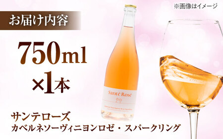 ワイン 【2025年】サンテローズ（カベルネソーヴィニヨンロゼ・スパークリング）750ml×1本 [AICS090] ワイン