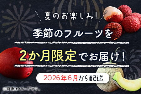 サマーフルーツ定期便 全2回 ＜メロン・マンゴー＆ライチ＞※2026年6月開始 旬 果物【E242】