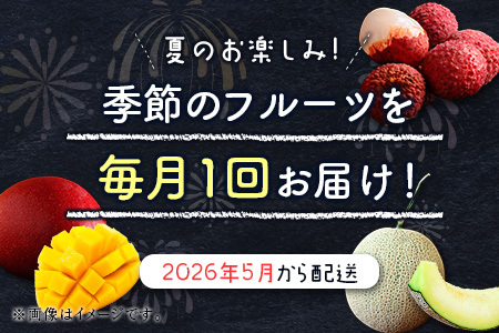 サマーフルーツ定期便 全3回＜メロン・マンゴー・ライチ＞ ※2026年5月開始 旬 果物【E244】
