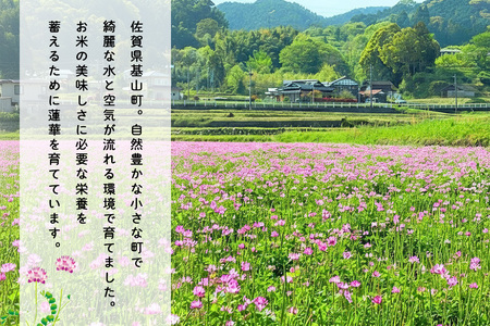 【令和7年産米】ちぎり米 5kg(「さがびより」、「ヒノヒカリ」、「夢しずく」から1種類 選択不可) K091006