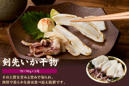 【イカ好き必見！】浜田名物イカ三昧セット（干物・塩辛・いかめし） 【025_0439】
