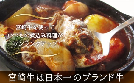 牛肉 ブロック 宮崎牛 スネ肉 800g [マルミヤストア 宮崎県 美郷町 31ag0095]