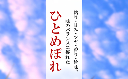 米 精米 令和7年産 ひとめぼれ 4kg