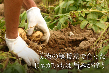 じゃがいも 【令和８年産予約受付！】男爵・北あかり計5kg 男爵 キタアカ じゃがいも  [006-27]