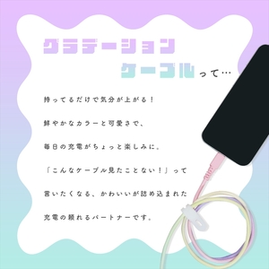 グラデーションケーブル USB-A to USB-C iPhone16e 16 15 Android各種 急速充電 データ転送対応 ケーブルバンド付 1m 2年保証  (MOT-SCBACG100-MD） マーメイド【 ケーブル ガジェット 海老名市 】