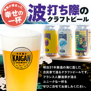海岸醸造 クラフトビール UMIBOZU（海坊主） mi0112-0005 クラフトビール