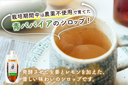 酵素の王様青パパイアのドリンクセット 全4種 国産 ヘルシー グリーンパパイア【A322】