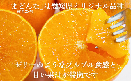 【紅まどんなと同品種】【訳あり】まどんな3kg 愛なんよ
