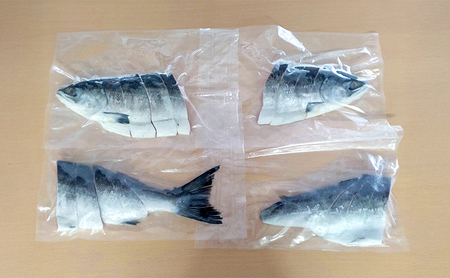 北海道産 塩時鮭 姿切身 1尾 約1.2kg （300g×4パック）【ぎょれん道東食品】 [ 鮭 さけ 時鮭 切り身 焼き鮭 貴重 焼き魚 魚 魚介類 サケ ] 