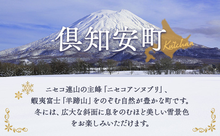 北海道 倶知安町 宿泊 利用 クーポン 【3万円分】 チケット 旅行 ホテル パークハイアット ニセコ HANAZONO Panorama Niseko AYA Villas 他 リゾート コンドミニアム コテージ ヴィラ 券 宿泊券 観光 高級 宿 体験 長期滞在 旅 