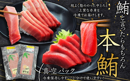 極上品 天然 本鮪 中とろ 3柵 ・ 赤身 3柵 M007-008-02 冷凍 マグロ