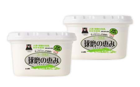 【14営業日以内発送予定】球磨の恵 ヨーグルト 砂糖不使用 1kg×2パック 合計2kg