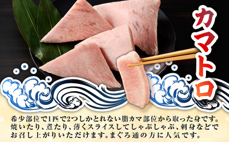 目鉢鮪 カマトロ 600g M081-009 冷凍 マグロ