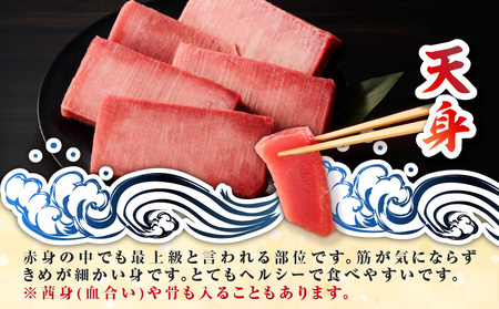 目鉢鮪 天身 2kg M081-011 冷凍 マグロ