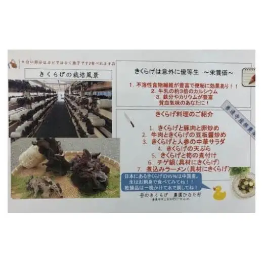 善通寺市産生きくらげ＆乾燥きくらげ
