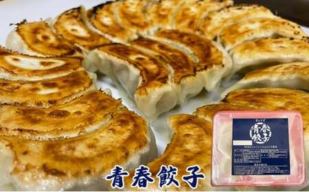 【定期便9ヶ月】餃子専門店青春餃子 餃子食べ比べセット 3種40個（青春餃子15個、豊岡餃子10個、大葉三太郎餃子15個）（計360個）