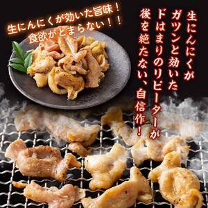 【りんご苑】伝統の味 塩にんにくホルモン 1.8kg(180g×10) 国産豚大腸使用！ F2Y-6200