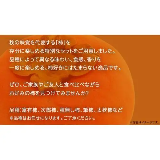 柿 食べ比べ 3品種×10個【2026年10月上旬発送開始】(茨城県共通返礼品：大子町)