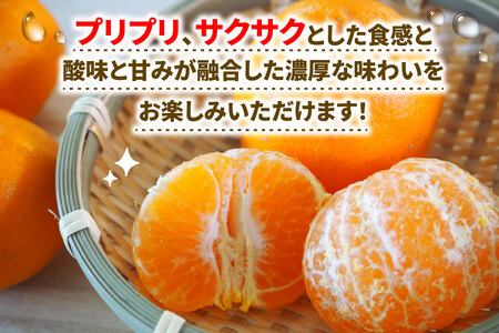 ぽんかん 5kg WF ぽんかん B010-024031