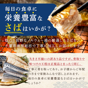 【定期便】【訳あり】骨取り塩さば　切身500g（500g×1袋）【3か月連続お届け】 mi0012-0152
