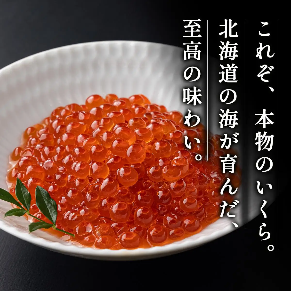 イクラの醬油漬け 200g ogm-011