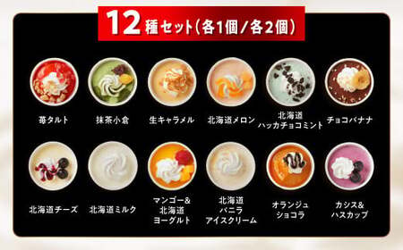 パフェアイス 24個セット_B032-1445-14