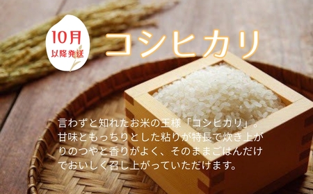 お米 令和7年産 5kg コシヒカリ 特別栽培米  先行予約  【2025年10月以降発送】 精米 米 こめ コメ 白米 ごはん ライス 愛媛 伊予市｜C151