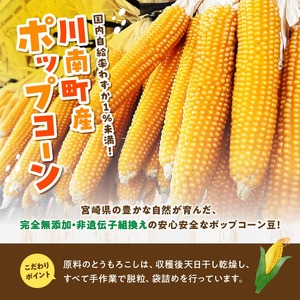 国産ポップコーン用（乾燥とうもろこし）　500g（個包装50g×10パック） 【 数量限定 期間限定 宮崎県産 ポップコーン 】