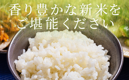 どぶろく工房香南 新米 コシヒカリ 約５㎏(令和7年8月収穫) db-0049