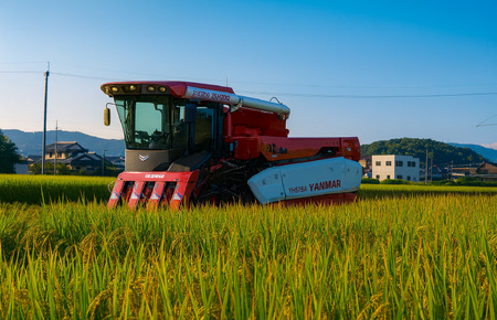 令和7年産 美味しいヒノヒカリ玄米5kg 