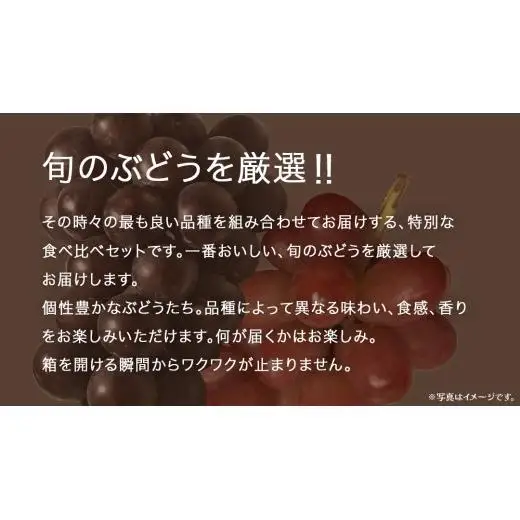 旬な ぶどう 食べ比べ 700g × 5房 【2026年8月上旬発送開始】(茨城県共通返礼品：大子町)