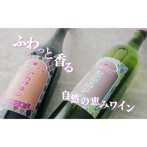 【セット】シロワヰン・アカワヰン2本セット（白ワイン・赤ワイン） |  ワイン お酒 酒 白ワイン 赤ワイン 信濃ワイン  ぶどう ブドウ アルコール セット 飲み比べ 人気 おすすめ ギフト 送料無料 長野県 長野市 信州 信濃 ふるさと納税