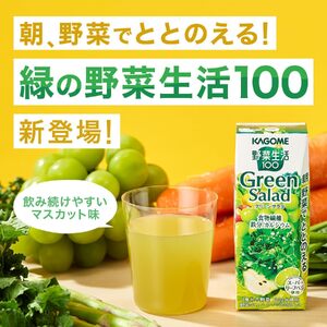 【定期便8ヶ月連続お届け】カゴメ 野菜生活100 グリーンサラダ 200ml 24本 野菜ジュース 果実ミックスジュース 紙パック