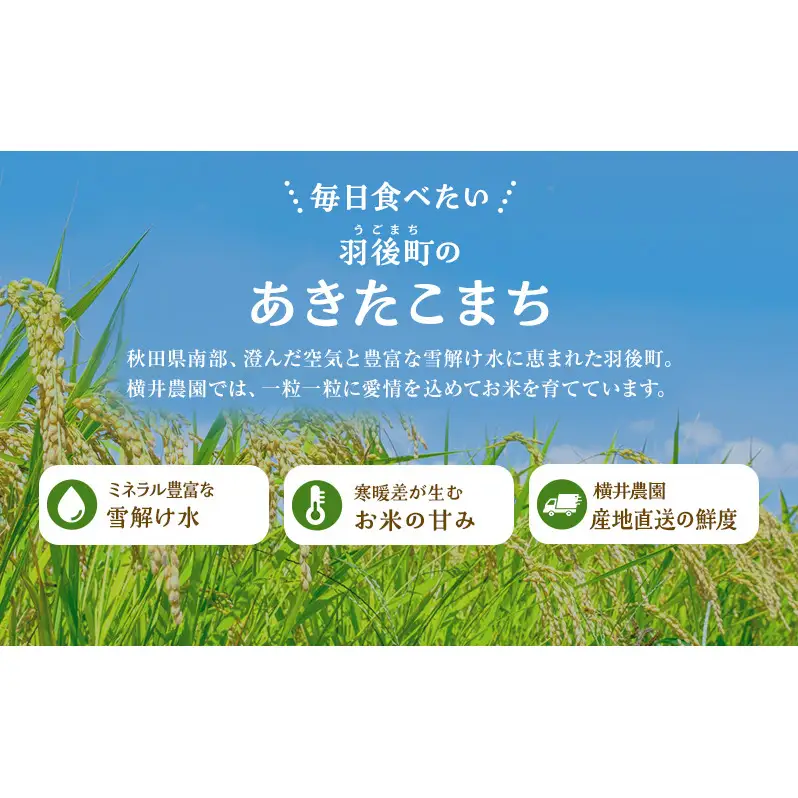 〈先行予約/11月発送開始〉秋田県 羽後産 あきたこまち 5kg 農家直送 [令和8年産] 横井農園【 米 お米 ご飯 あきたこまち ブランド米 銘柄米 農家直送 特産品 秋田 羽後 】