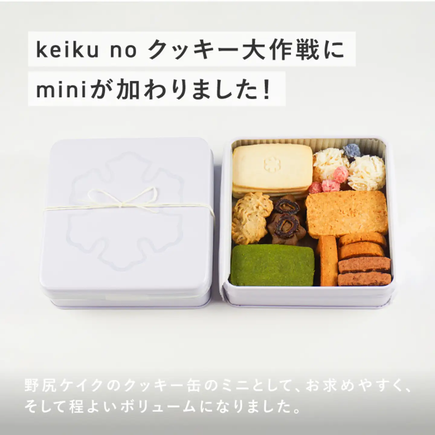 Keiku no クッキー大作戦--mini-- 【野尻ケイク】