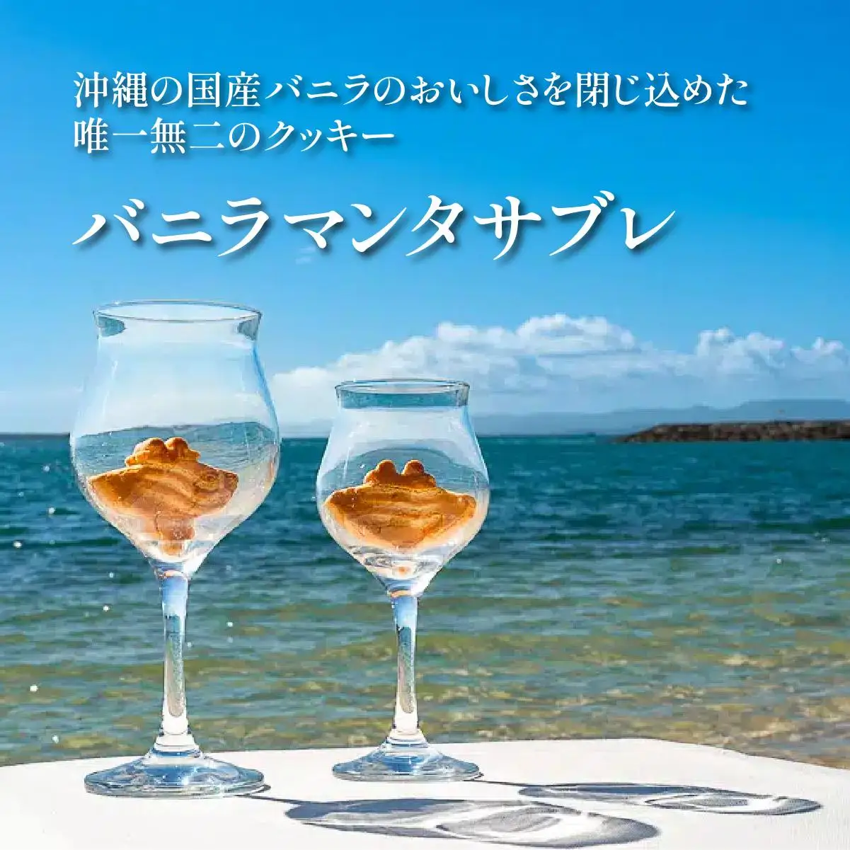 バニラマンタサブレ 黒箱入り１箱 (8枚入) MA-01
