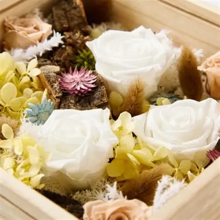 プリザーブドフラワー白【1662935】