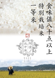 コシヒカリ 米 25kg お米