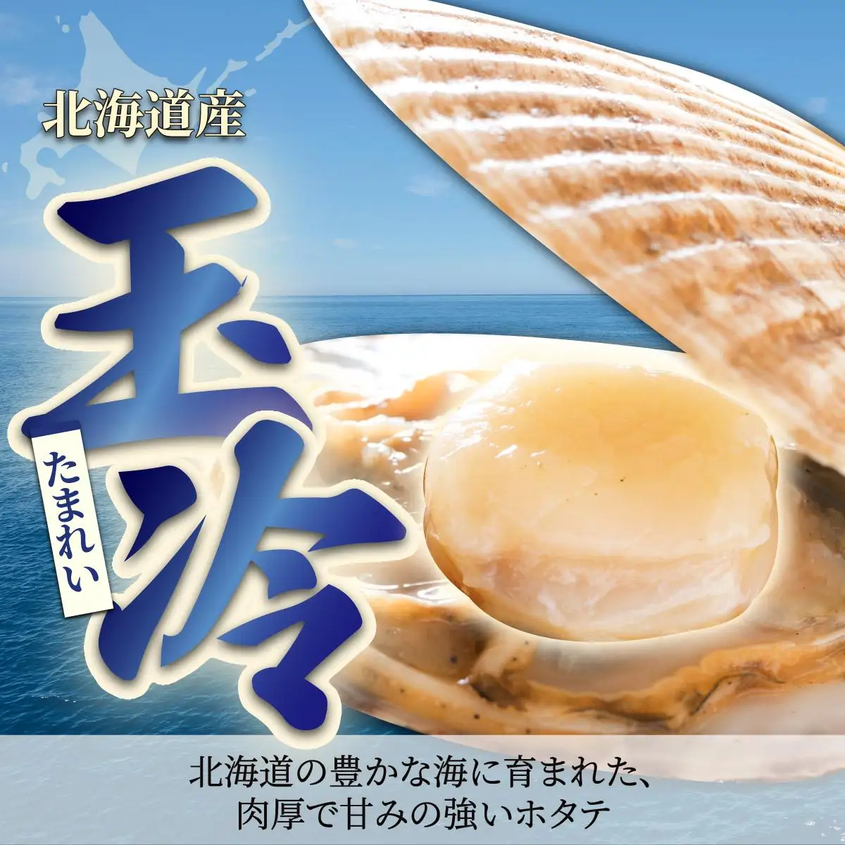 ほたての玉冷 500g（SSサイズ～Lサイズバラエティーセット）