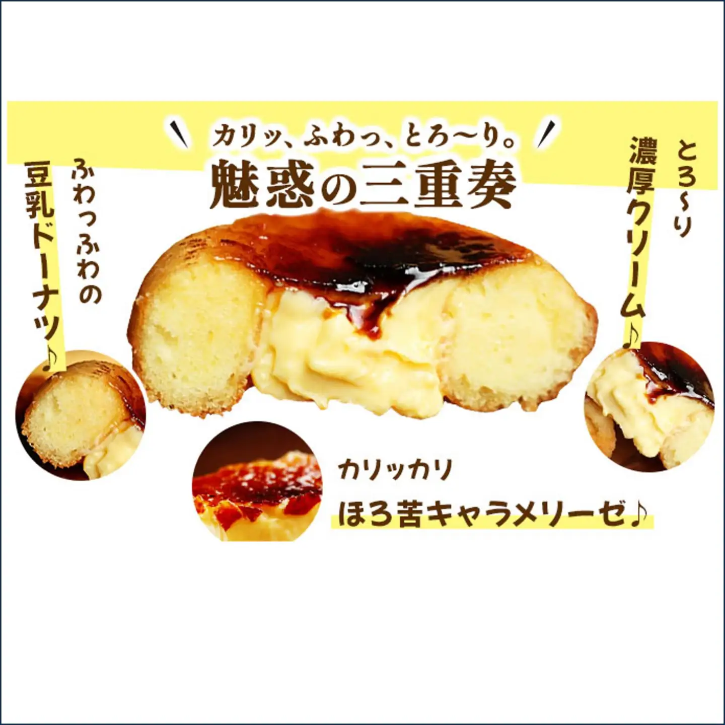 【Brulee kyoto】 クレームブリュレドーナツ 8個｜京都 スイーツ 人気店 ご褒美スイーツ