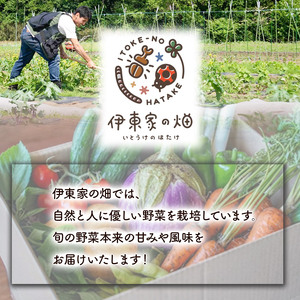 野菜セット(3～5品種) | 栃木県 下野市