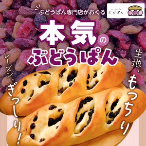 ぶどうぱん食べ比べセット（3本） _ ぶどうぱん 専門店 ぶどぱん 食べ比べ 3本 ぶどぱんのぶどうぱん サンマスカット 全粒粉のくるみとレーズン しっとり もっちり 食パン生地 トースト 冷凍保存 お取り寄せ 福岡県 久留米市 送料無料  〔Cx242-03〕