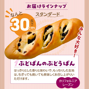 ぶどうぱん食べ比べセット（5本） _ ぶどうぱん 専門店 ぶどぱん 食べ比べ 5本 ぶどぱんのぶどうぱん サンマスカット 全粒粉のくるみとレーズン ミックスレーズン 抹茶 レーズン しっとり もっちり 食パン生地 トースト 冷凍保存 お取り寄せ 福岡県 久留米市 送料無料  〔Cx242-05〕
