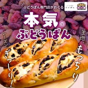 ぶどうぱんマシマシと塩ぱん　堪能セット _ ぶどうぱん 専門店 ぶどぱん 堪能 セット ぶどうぱん 1個 370g前後 塩ぱん × 2個 1個あたり70g前後 レーズン マシマシ しっとり もっちり 食パン生地 トースト 冷凍保存 朝食 昼食 ランチ お取り寄せ 福岡県 久留米市 送料無料  〔Cx243〕