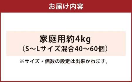 叶果樹園 みかん 家庭用 約4kg（S～Lサイズ混合40～60個） ミカン フルーツ 果物 くだもの サイズ混合 常温 国産 【2026年10月下旬～12月上旬迄順次発送予定】