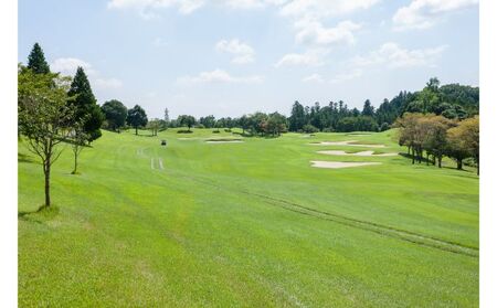 飯能グリーンカントリークラブ 平日ゴルフプレー券(1名様)＋同伴者優待セット ゴルフ場利用権 HNNBY001