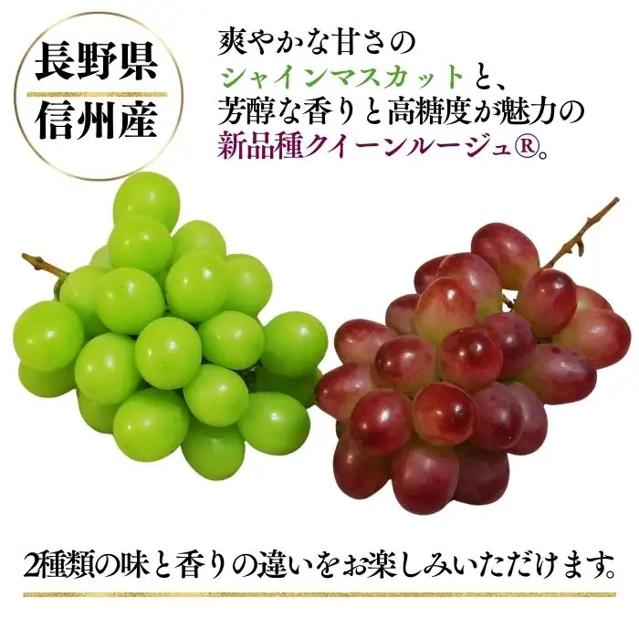 【2026年先行予約】シャインマスカット ＆ クイーンルージュ® 詰め合わせ セット  計約1kg（2~3房）※最低900g以上｜ ぶどう ぶどう