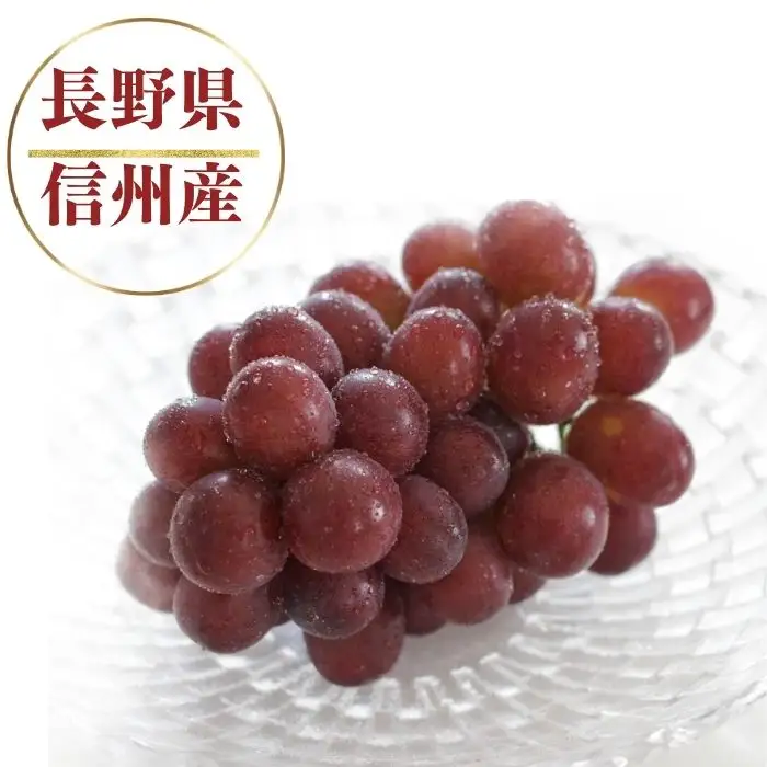 【2026年先行予約】クイーンルージュ® 約2kg（4~6房）※最低1.8kg以上｜ ぶどう ぶどう